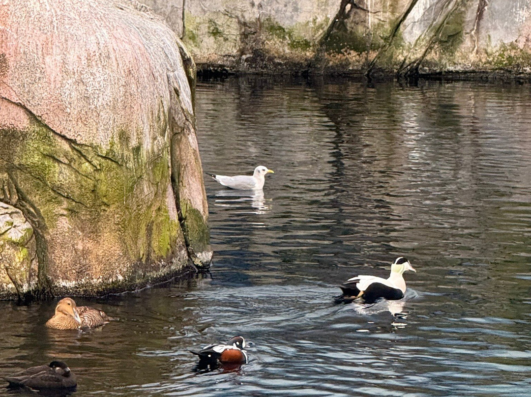 蒙特利尔自然生态博物馆-蒙特利尔必去景点