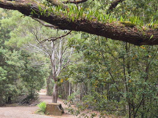Tall Timbers Adventure Tours-Smithton必去景点