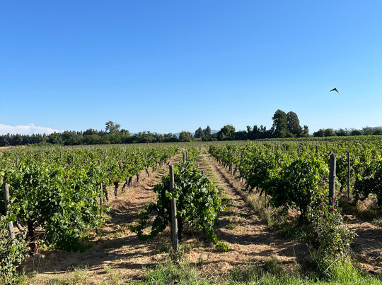 Hotel TerraVina主图