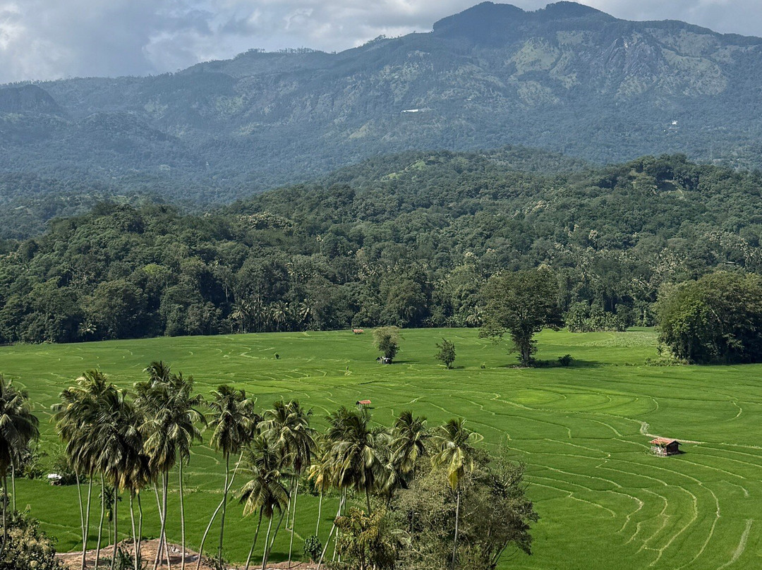 Drivers in Sri Lanka-科伦坡必去景点