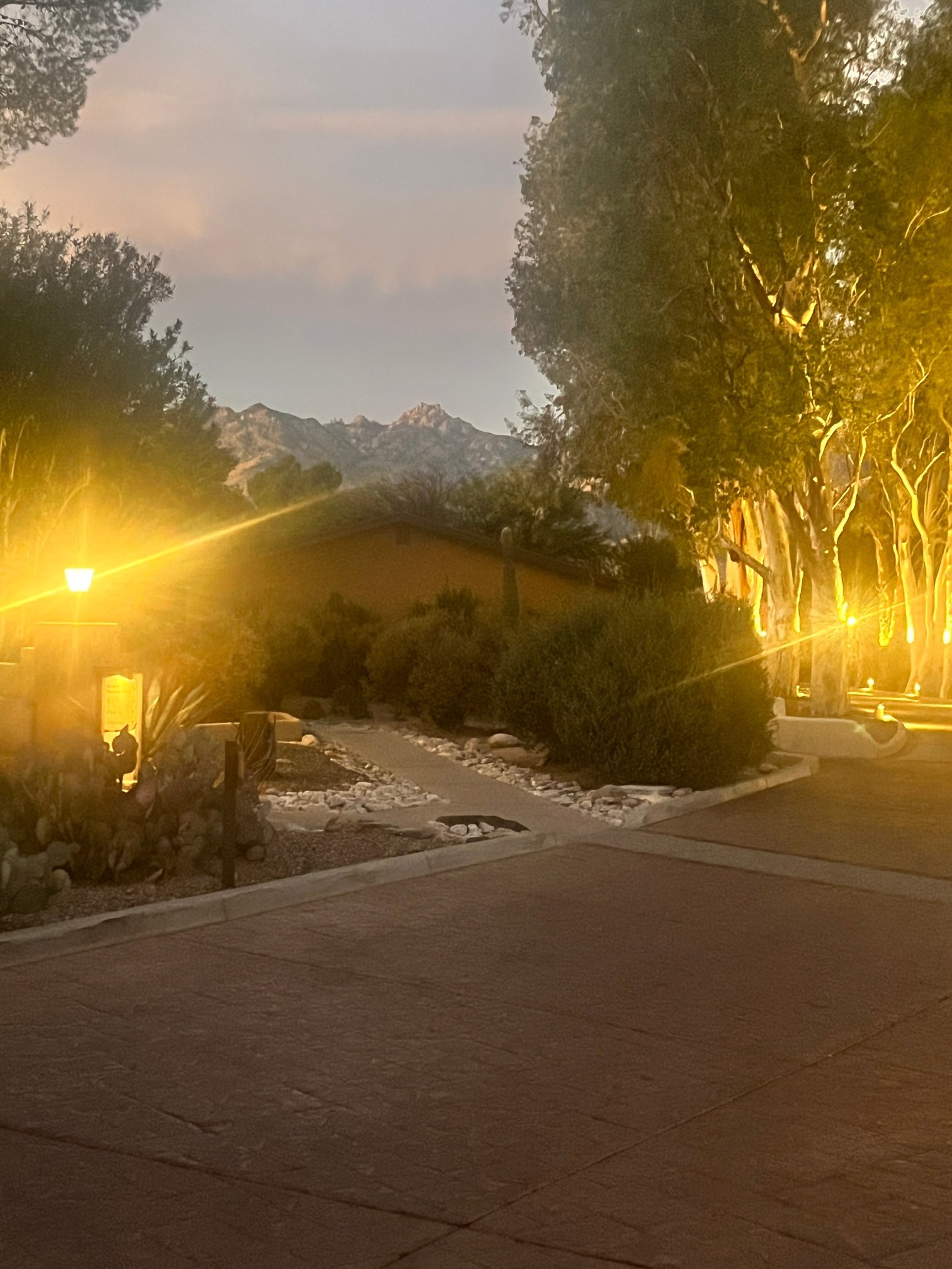 Canyon Ranch Wellness Resort Tucson-浴室