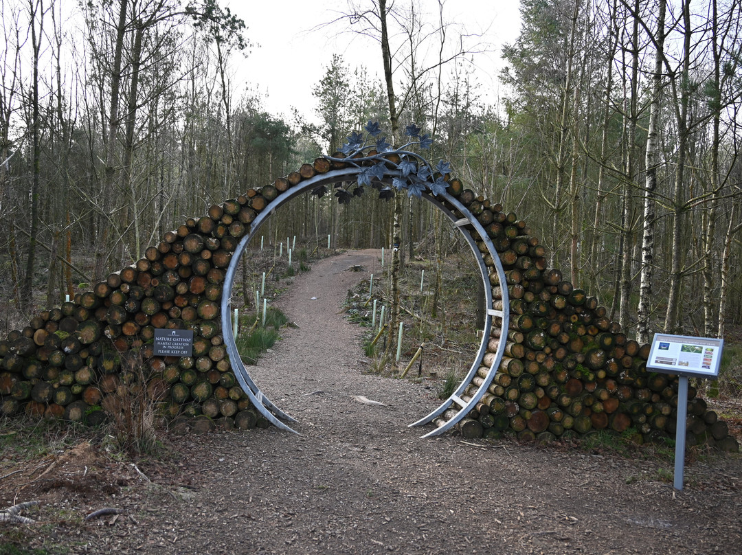 Druids Temple-里彭必去景点