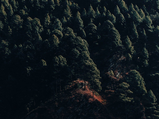 Shubha Nepal Trekking & Expedition-Budhanilkantha必去景点