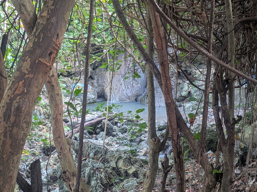 Ocean Echo Stables-Saint John Parish必去景点