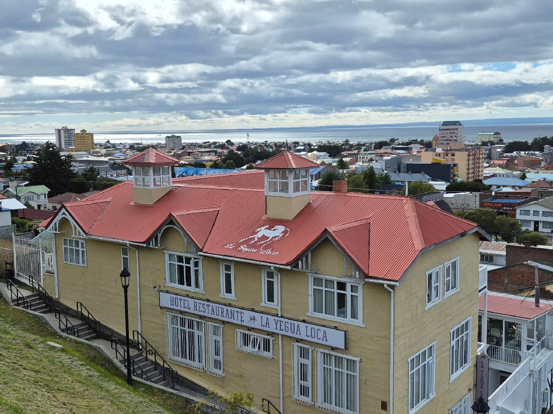 Mirador Cerro De La Cruz-蓬塔阿雷纳斯必去景点