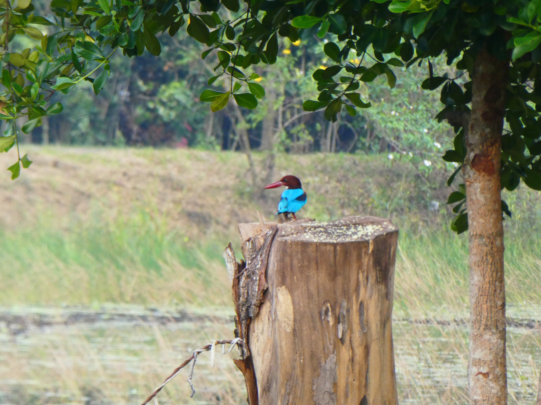 The Notary's House主图