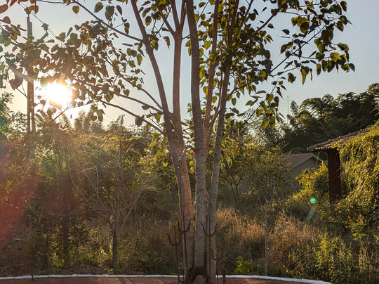 Aranyak Resort Kanha主图