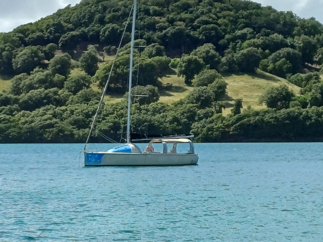 Dénébola Les Plaisirs Nautiques-Le Robert必去景点