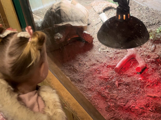 Willow Tree Family Farm-Shirebrook必去景点