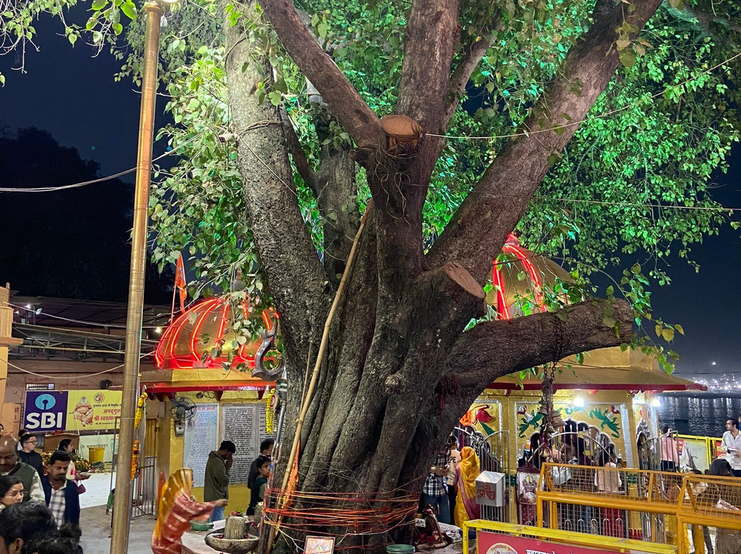Mankameshwar Temple-阿拉哈巴德必去景点