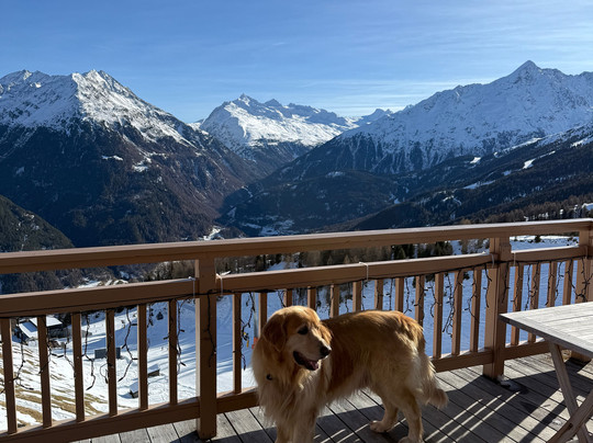 Hotel Alpenfriede主图