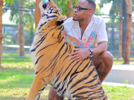 Tiger World Thailand-丹能沙都必去景点
