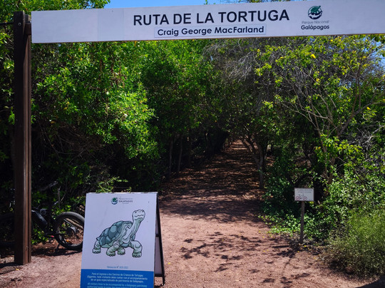 Charles Darwin Research Station-阿约拉港必去景点