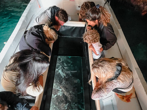 Viamar-Berlenga Grande必去景点