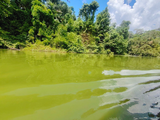 Reserva Biológica Limoncocha