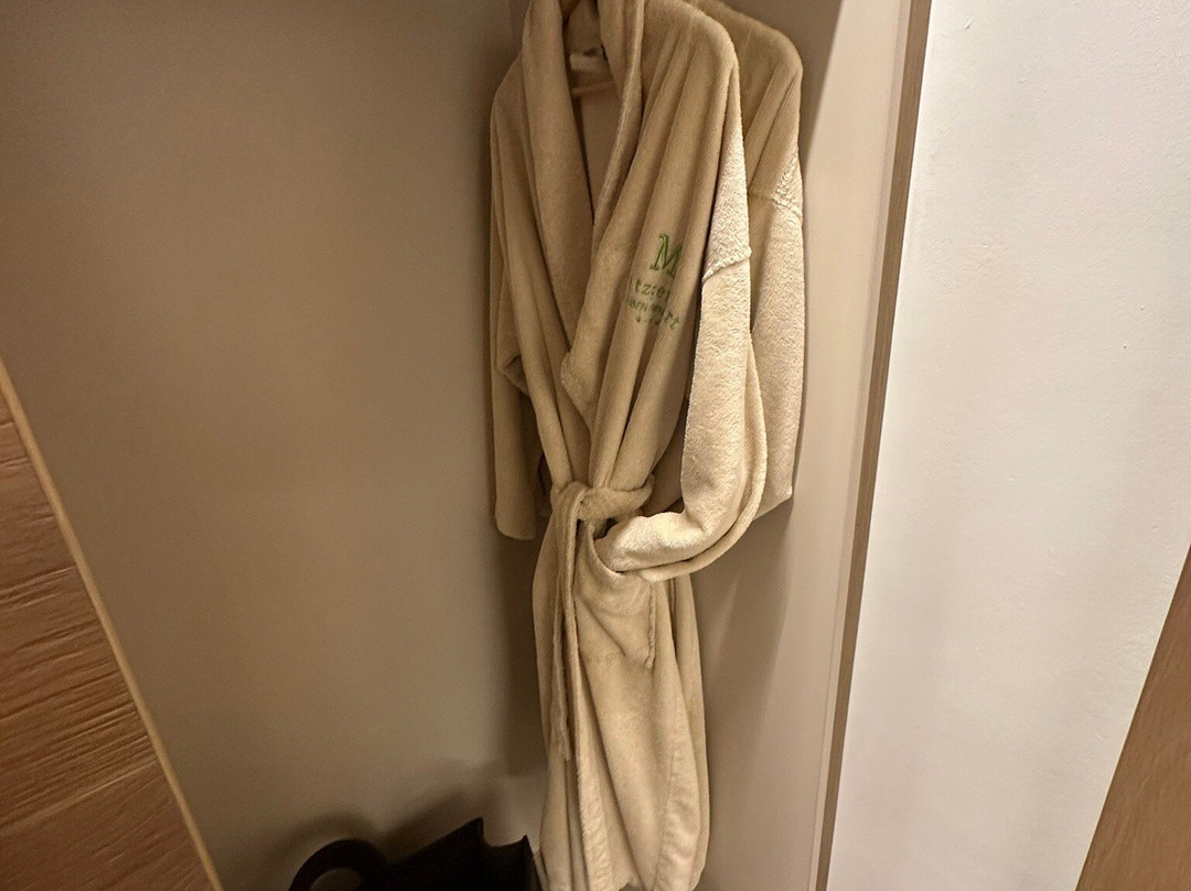 Hotel Metzgerwirt主图