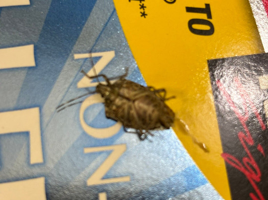 克林顿汉普顿酒店主图