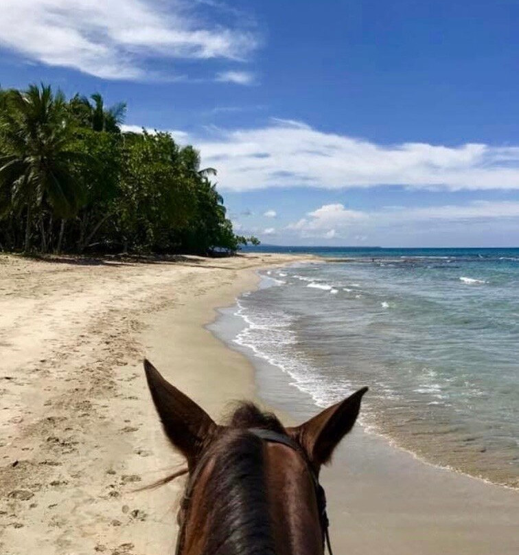 Caribe Horse Riding Club-Cocles必去景点