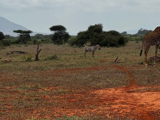 Discovery Kenya con Fragola-瓦塔木必去景点