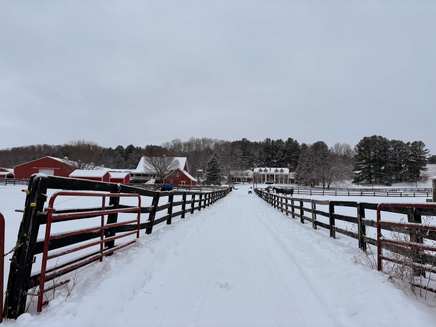 The Inn At Black Star Farms-官方