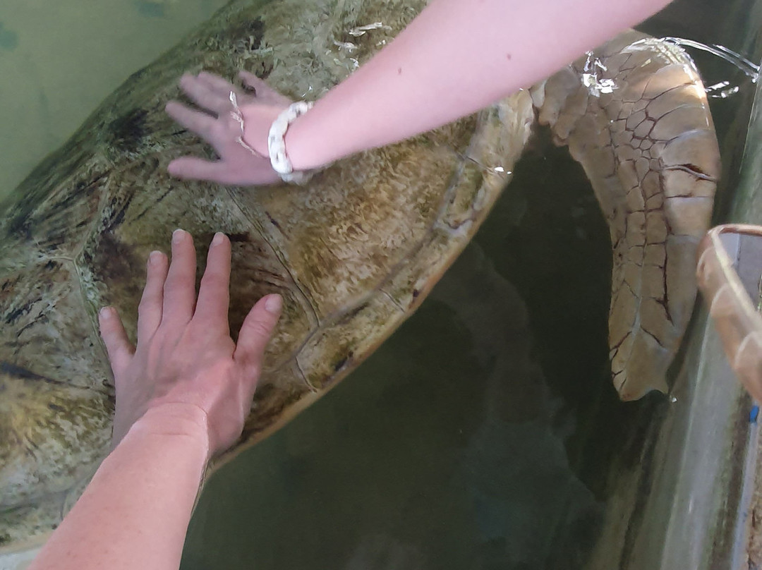 Pk Tours By Kuma-因都鲁瓦必去景点