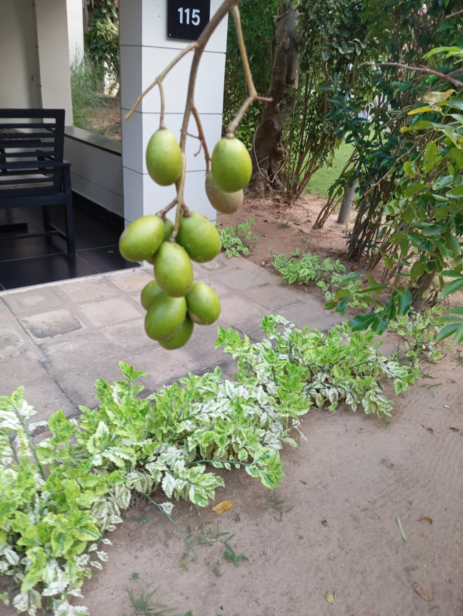 Sun Siyam Pasikudah-浴室