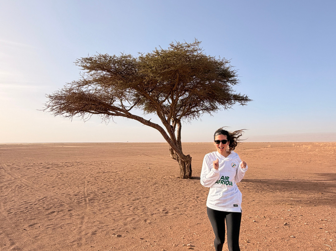 On Desert Travel-迈哈米德必去景点