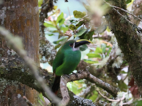 Paramo Trek Salento-萨伦托必去景点