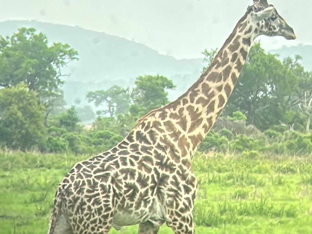 Marmara Holidays-Dar es Salaam必去景点