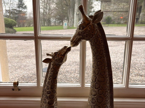 The Glenmorangie House主图