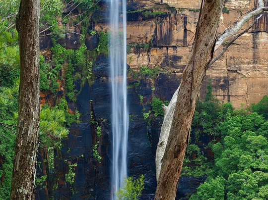 Fitzroy Falls Visitor Centre-Fitzroy Falls必去景点