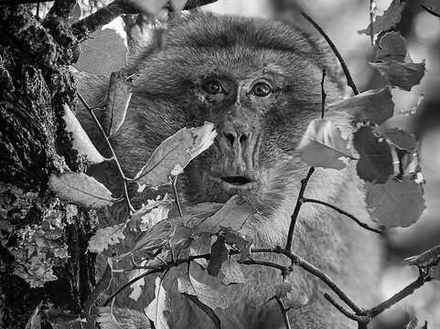 Jari Reda-Azrou必去景点