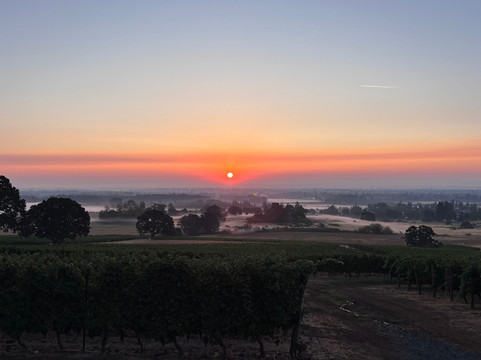 RH Wines-塞勒姆必去景点