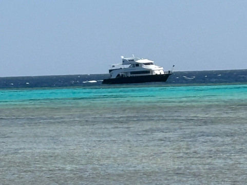 ORCA Dive Club Soma Bay-索马湾必去景点