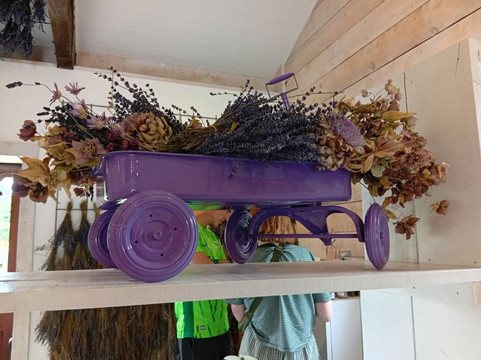 瓦纳卡薰衣草农场-瓦纳卡必去景点