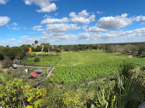 Zona Arqueologica de Ake-Ake必去景点