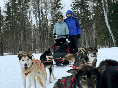 Chilly Dogs Sled Dog Trips-伊利必去景点