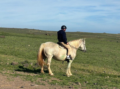 Lanzarote a Caballo-兰萨罗特必去景点