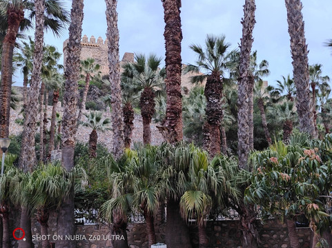 Parque Botanico El Majuelo-阿尔穆涅卡尔必去景点