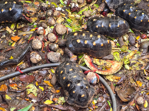 4 Elements Culinary & Wellness Center-Water Island必去景点