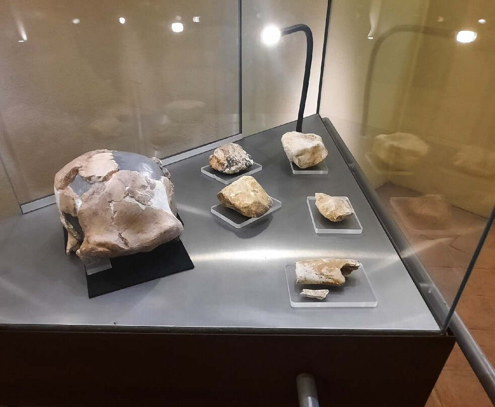 Mae - Museo Archeologico Ernico-Anagni必去景点