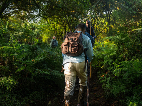 Volcanoes National Park-Ruhengeri必去景点
