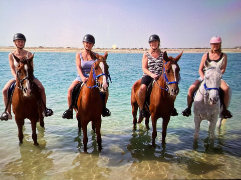 Sanam Stable-阿布扎比必去景点