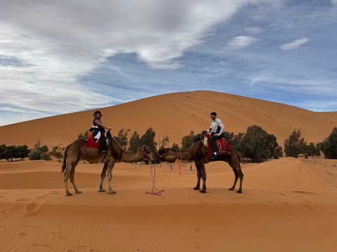 Walking With Nomads-Agdz必去景点