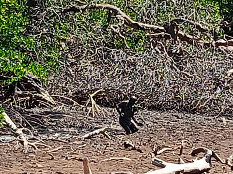 Rota Combo-Parnaiba必去景点