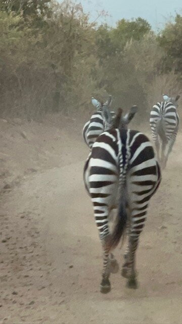 Insight Safari Holidays-Kanungu必去景点