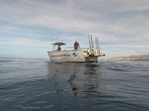 Blue Bottom Diving-奥德杰海岸必去景点
