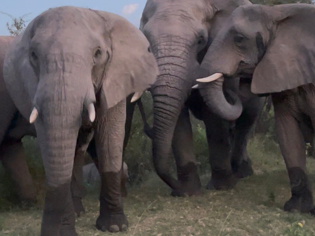 Loisico Tours and Excursions-Bloubergstrand必去景点