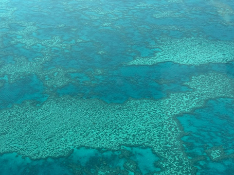 Fly Australia Charter-悉尼必去景点