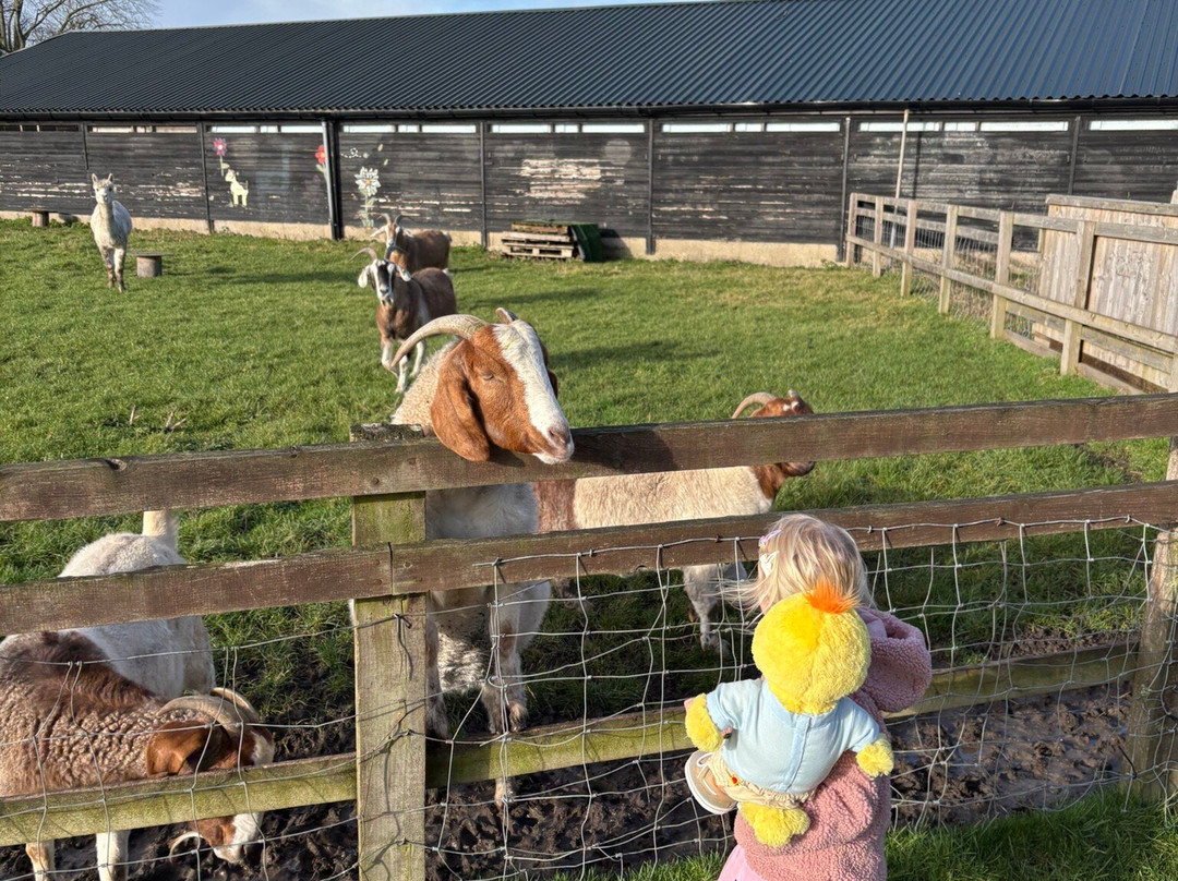 The Bucks Goat Centre-艾尔斯伯里必去景点